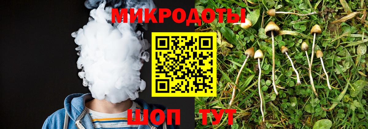 Галлюциногенные грибы мухоморы  Галлюциногенные грибы GOLDEN TEACHER  Россошь  где можно купить наркотик  Вход с VPN 